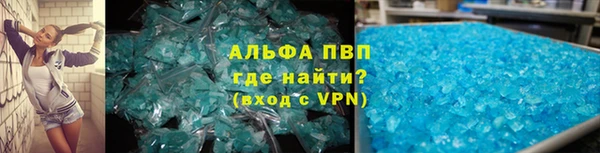 индика Аркадак