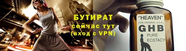 индика Аркадак