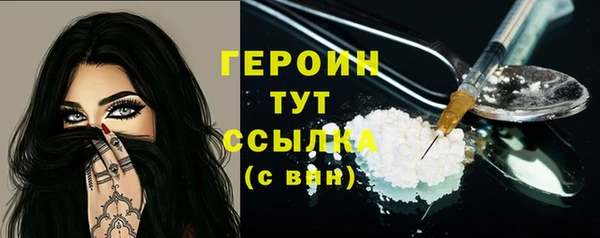 индика Сосновоборск