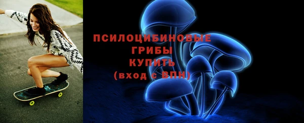 таблы Армянск