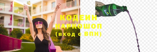 индика Аркадак
