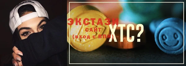 индика Сосновоборск