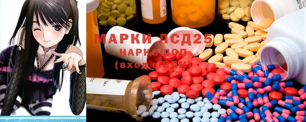 индика Аркадак