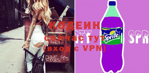индика Аркадак