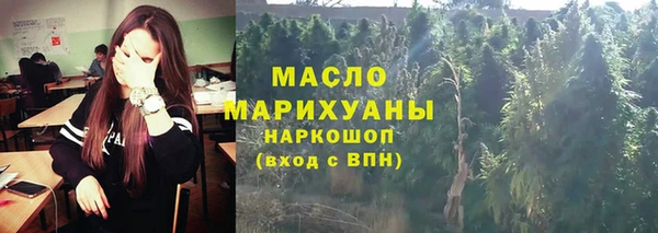 индика Аркадак